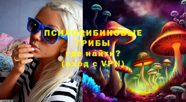 ешки Алзамай