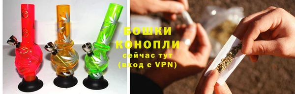 бошки Алексин