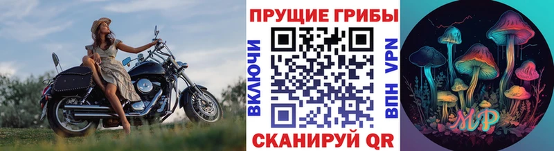 kraken как зайти  Октябрьск  Галлюциногенные грибы ЛСД 